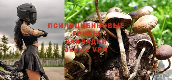 прущие крисы Зерноград